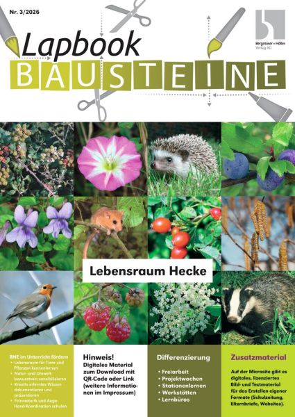 Lebensraum Hecke