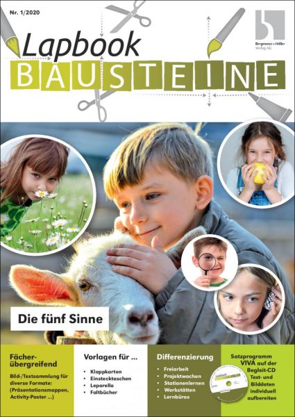 Die fünf Sinne