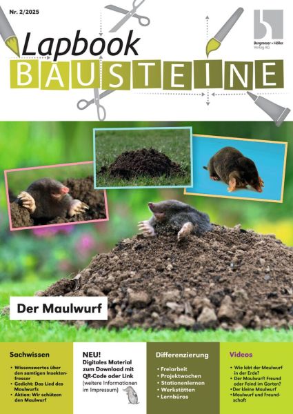 Der Maulwurf
