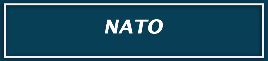Infografiken rund um das Thema Nato