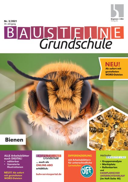 Bausteine Grundschule (online)